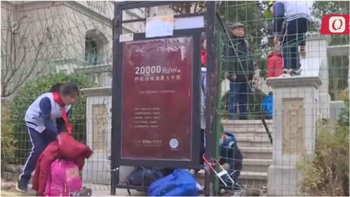 城镇无房产怎么入学读书