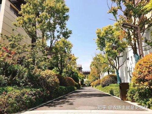 杭州赠与的房产怎么卖