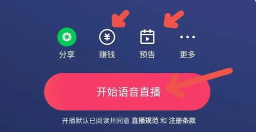 房产开直播内容怎么选