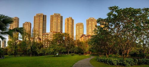 怎么整治房产开发商