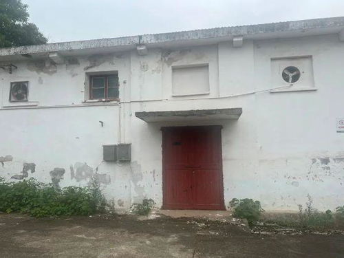 石桥村拆迁怎么分房产