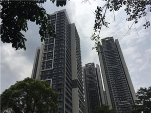 房产自持出租怎么找