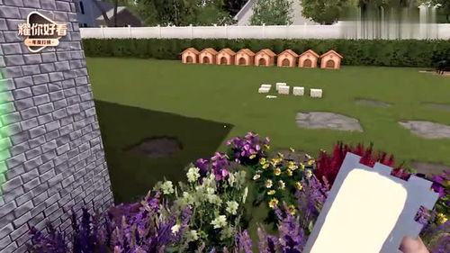 小浪房产达人怎么刷墙