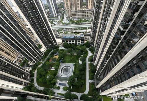 深圳金茂房产怎么样