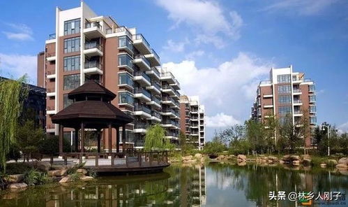 贷款的房子怎么分房产