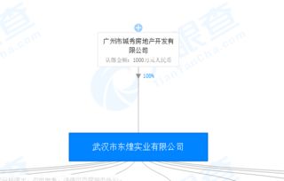 国企投资房产怎么办