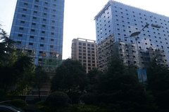 真鑫房产怎么样