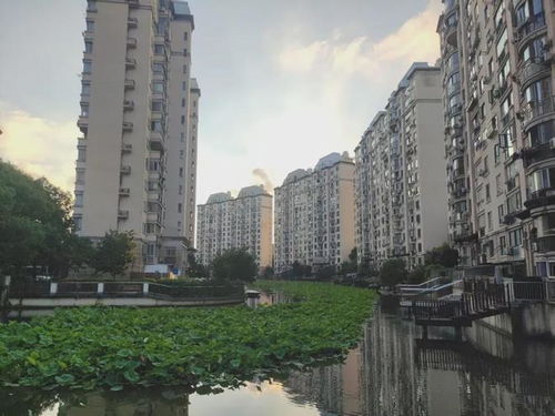 上海做房产怎么样