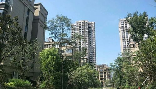 可可房产长寿怎么样