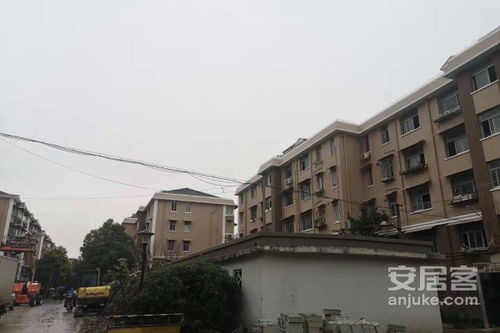 普陀海外房产怎么样