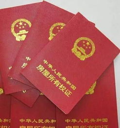 房产权属证怎么查询