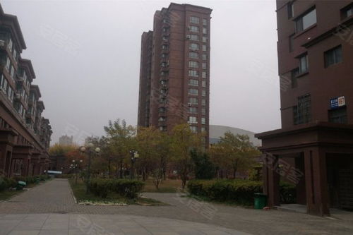 新加坡房产中介怎么分成