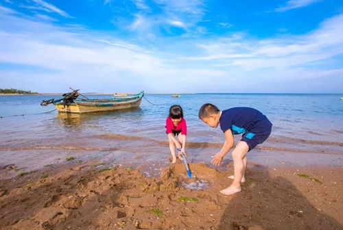 房产达人里小狗怎么吃