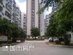 海口名下房产怎么查询