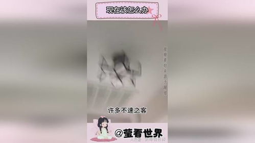 房产侵占该怎么办