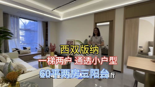版纳管家房产怎么样