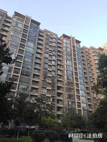 怎么买法拍的房产