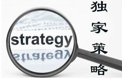 恶俗房产营销方案怎么写