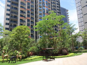 北海小雨房产怎么样