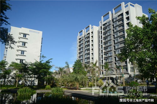 北海小雨房产怎么样