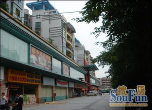 东莞石龙房产怎么样