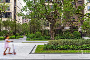 房产园林照片怎么拍