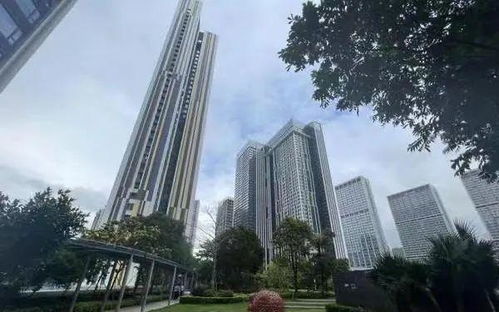 怎么查深圳是否有房产 怎么查深圳是否有房产