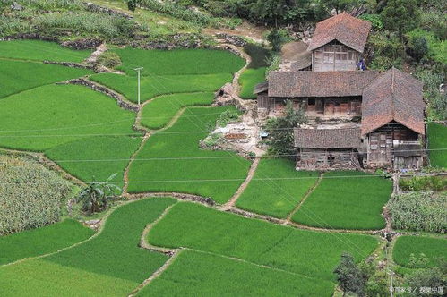 在农村怎么卖老年房产