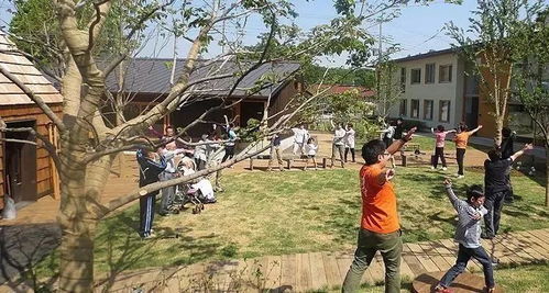 在农村怎么卖老年房产