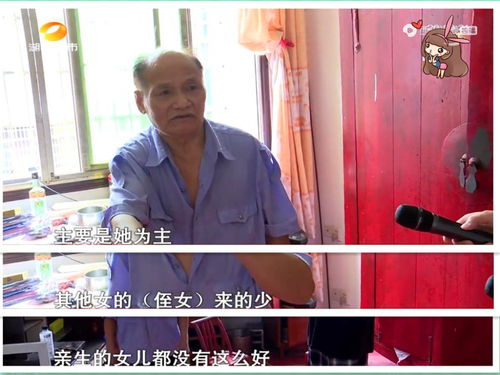 舅舅死了房产继承怎么分