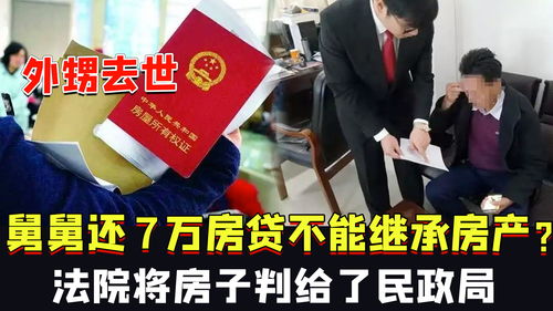 舅舅死了房产继承怎么分