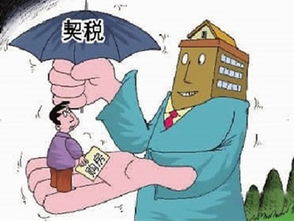 养老的房产契税怎么交