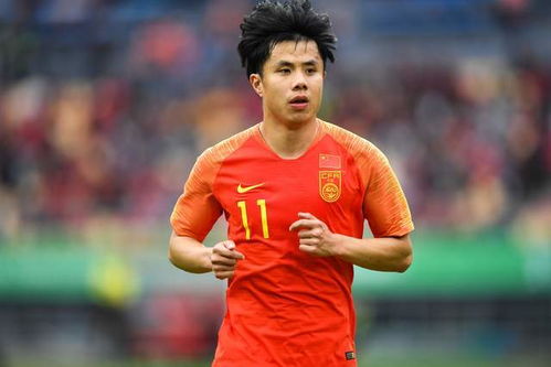 隐形房产共有人怎么查