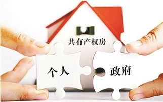 共同共有房产怎么贷款