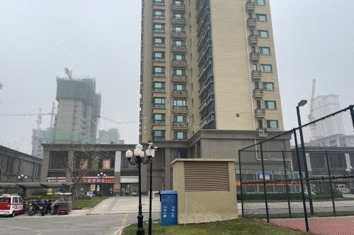 北京衡水房产怎么样