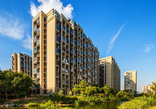 大力同城房产怎么样