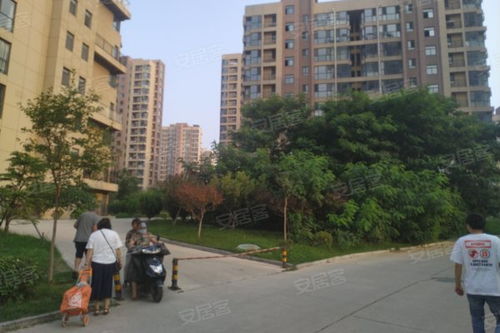 大东房产板块怎么样