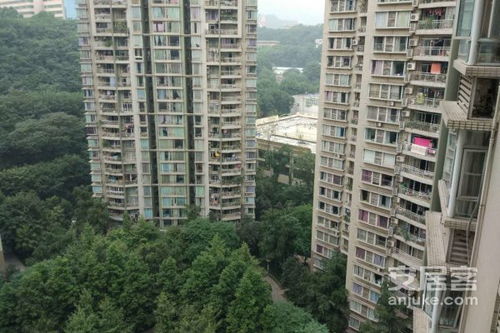 林泉房产服务怎么样