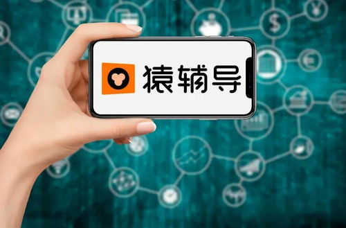 房产类视频怎么下钩子