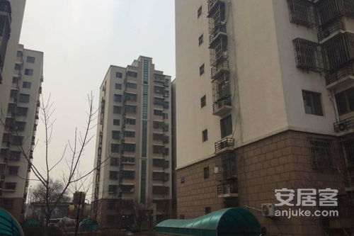 聊城小凯房产怎么样