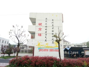 杭州没房产怎么上小学 杭州没房产怎么上小学