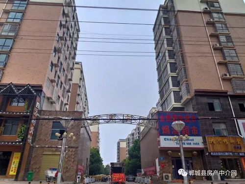 郸城房产现状怎么样