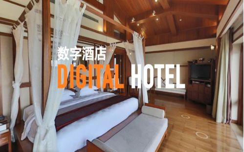 样品房怎么分配的房产