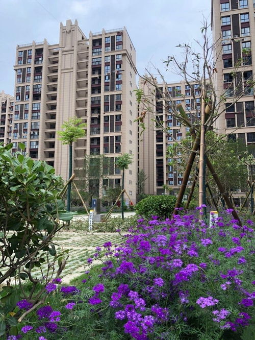 沙洋天地房产怎么样