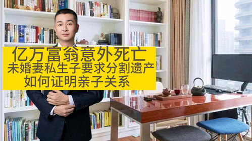 儿子意外去世房产怎么分