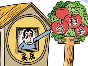 离婚有房产公积金怎么取