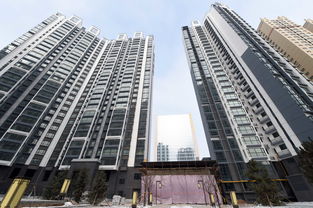 重庆房产产调怎么拉