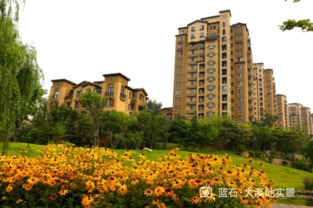 房产价值洼地怎么办