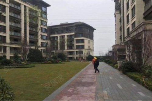 昌乐美的房产怎么样