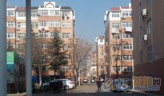 泰居房产怎么样 泰居房产怎么样